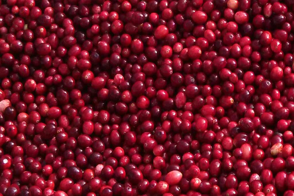 Sno Pac Organic Whole Cranberries