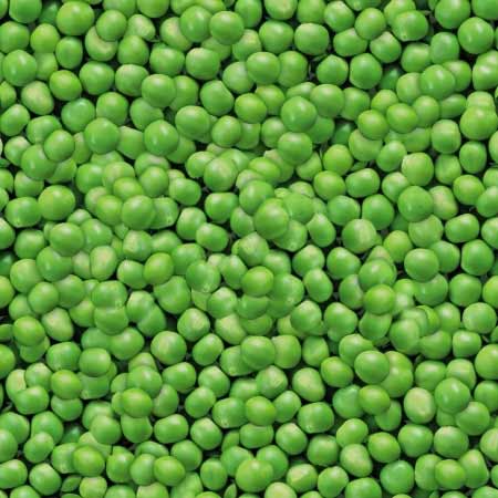 Sno Pac Organic Peas